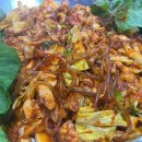 바이올독 푸드 이미지