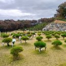 경기장묘개발