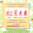 이루동물병원 이미지