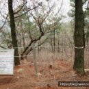 재송2동-12 이미지