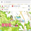 전자 이미지