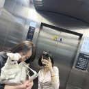 위크앤드이브