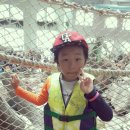 월계효태권도 이미지