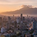 보노포스 이미지