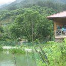 까치내둥지가든 이미지