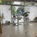 댕구르르 | 목포 애견 호텔 &#34;댕구르르&#34; 후기