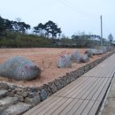 꿈이자라는땅 이미지