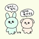 데이토나레코즈 이미지