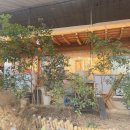 꽃피는 산골 | 영월 감성 카페 꽃피는 산골