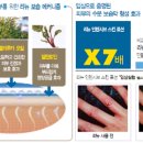 프루번(proven)