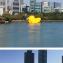 러버독 이미지