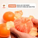화창종합상사 | [My NH pay Story] EP 1: 가족과 함께한 캠핑, 파인다이닝 후기! +할인 꿀팁