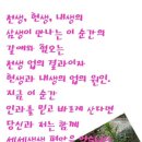 세왕 이미지