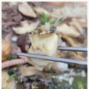 여수해양공원 이미지