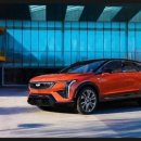 다운옵틱 이미지