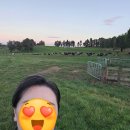 동굴목장 | 뉴질랜드 와이토모 동굴 근처 가족숙소 'Walnut Box' 후기 갓 짠 생우유 감동