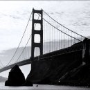 바루지금 이미지