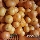 알맹이민박 이미지