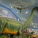 덕소자연사박물관 이미지