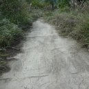 홍계마을 이미지