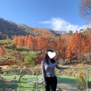 내츄럴피드라인 | [W10. 드레스 취향 찾기] 스트레이트 체형: 탑 + A라인