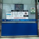 유광회관 | 강릉 유명 식당 뽀개기 (소머리국밥 철뚝소머리국밥, 장치찜 월성식당, 가오리찜 원인숙 고성생선찜...