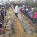 시항골농장 이미지