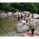 쌍계초등학교 이미지