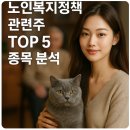 대원 글로벌 소싱 | 노인복지정책 관련주 Top 5 종목 분석