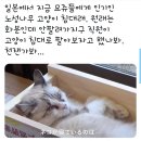 화분공장
