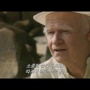 창문 넘어 도망친 100세 노인 이미지