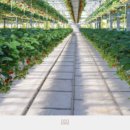 오성그린농장 이미지