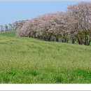 서산농장 이미지