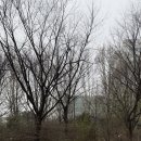 석인목장 이미지