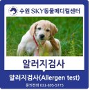 수원시동물보호센터 동물병원 이미지