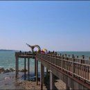 종현어촌체험마을 이미지