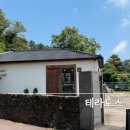 테라도스 | 제주 애월 카페 테라도스 특별한 카스테라 후기