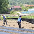 삼선전자 이미지