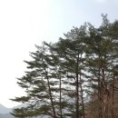 산골백두 이미지