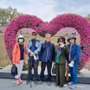 ♣ 불암산 철쭉 축제 이미지