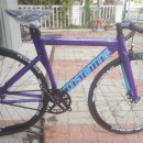 일렉스타 알톤 이미지