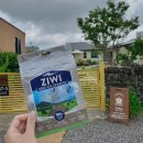 디어포우 이미지