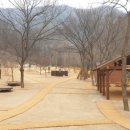 대흥동 유아숲체험원 케이에스피뉴스