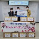 용인대 영광태권도 이미지