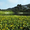 아크로컨트리클럽 이미지