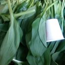 국사봉농장 이미지