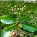 예쁜날 이미지
