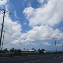 인생밥집 이미지