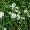 주암농장 이미지