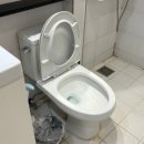 올리브 호스텔 | 📍 호스텔펠라즈 | 이태원 호스텔 내돈내산 솔직후기 (서울 가성비 숙소 / 개인실 넷플릭스)